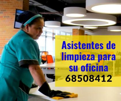 Asistente Del Hogar