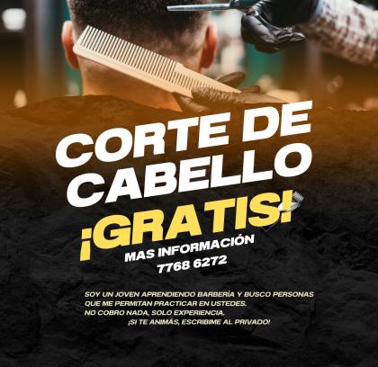 GRATIS!! CORTE DE CABELLO (Babero)